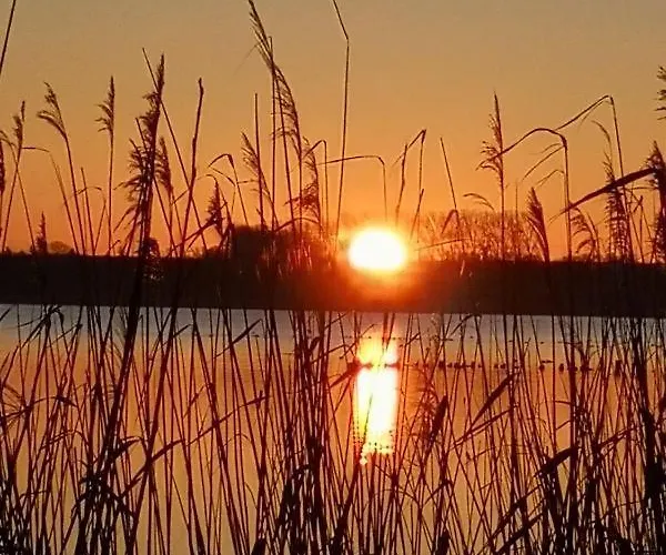 Eichis Landliebe מאלכין